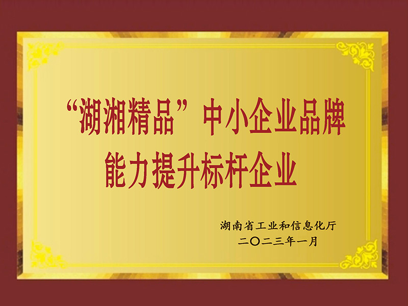 "Huxiang Boutique" small and medium-sized enterprises brand ability to enhance benchmarking enterpri